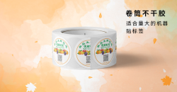 卷筒不干胶卷筒自动贴标签怎么设计