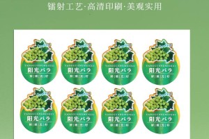 镭射银不干胶贴纸定制案例